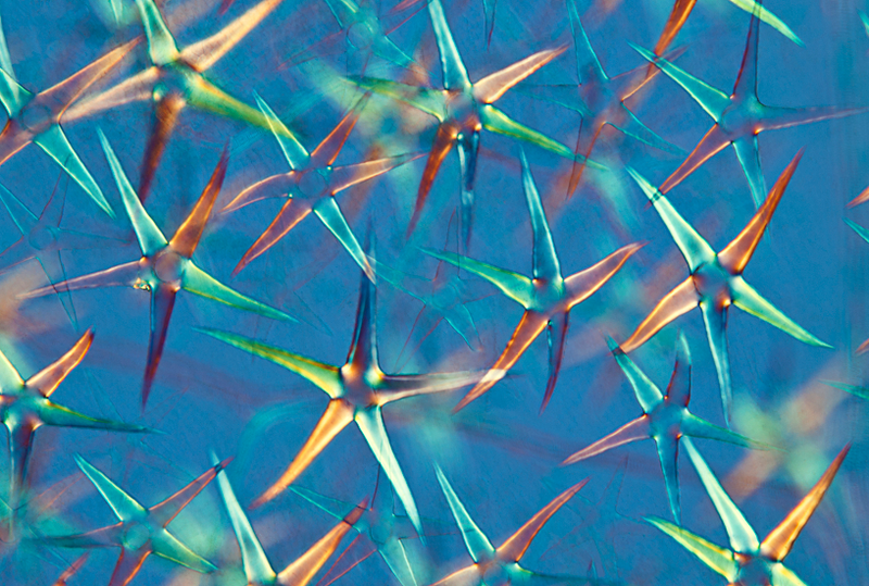 Illustration for article titled A mind-blowing gallery of the best science visualizations from 2013